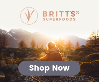 the britts super food store website