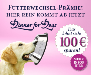 Werbebanner – Futterwechsel-Prämie bei Dinner for Dogs & Cats – 100 € sparen