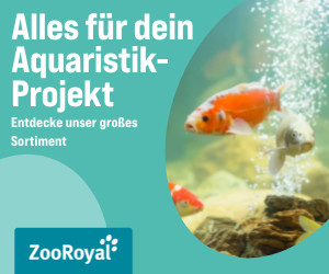 Exklusives Angebot für Aquaristik-Liebhaber: Sichere Dir 12€ Rabatt bei ZooRoyal! | Verbandsbüro - Ihr Experte für Verbands-und Vereinsmarketing