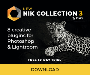 Download NIK Collection 3