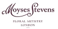 the moyses stevens store website