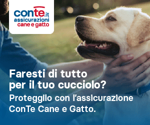 ConTe.it Cane e Gatto