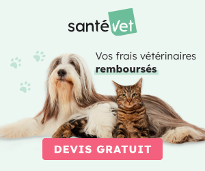 SantéVet, la meilleure mutuelle santé pour chien, chat et NAC