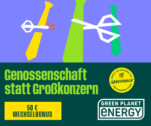 Auf fingreen.de kann jeder grün und nachhaltig investieren.