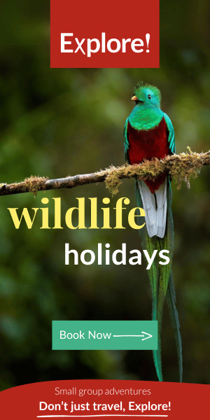 Explore Wildlife Holidays